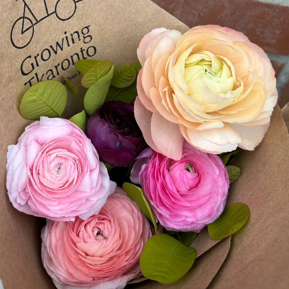 See you next year! Spring Flower Subscription