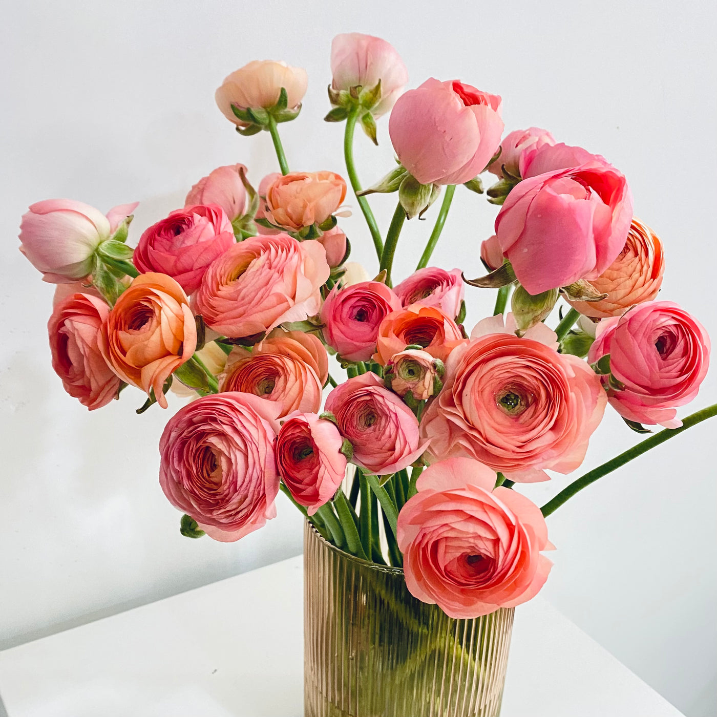 Ranunculus Subscription