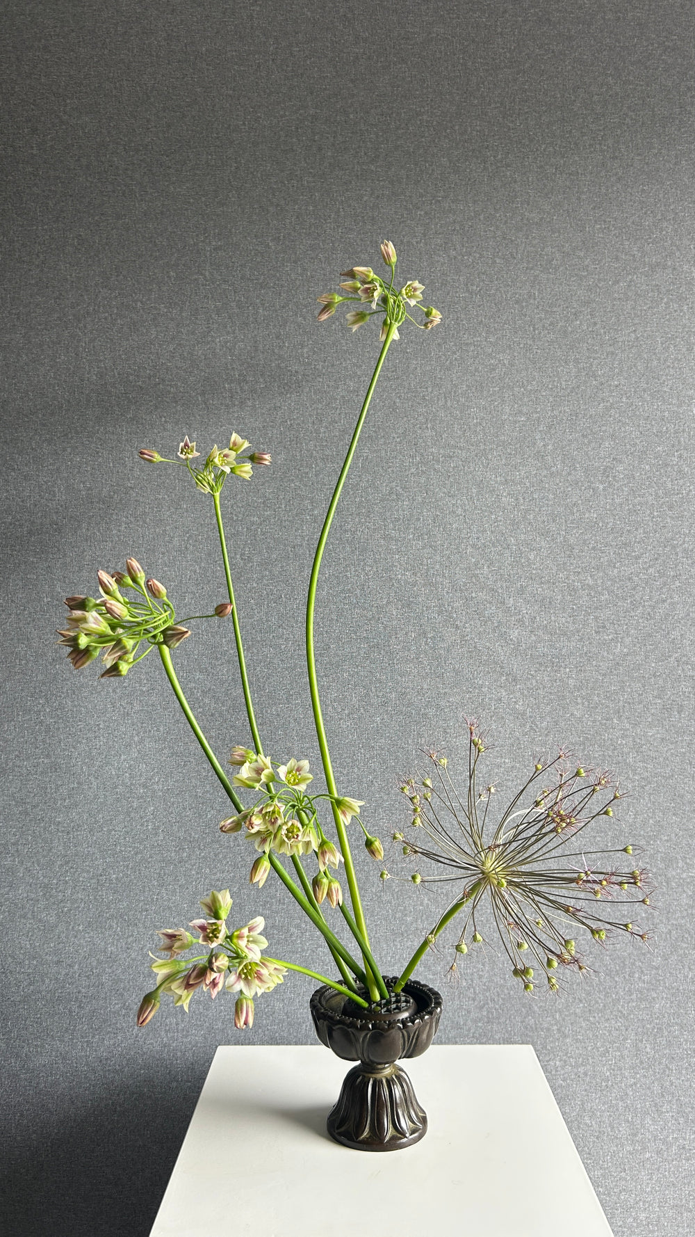 Rewilding Tablescape Workshop
