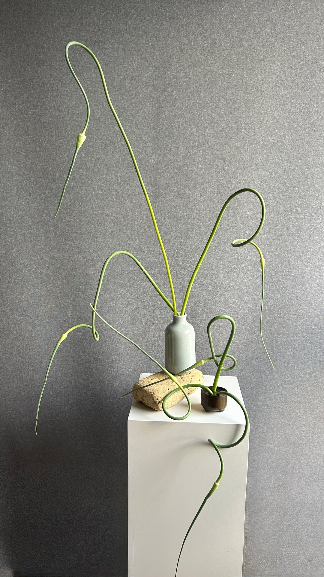 Rewilding Tablescape Workshop
