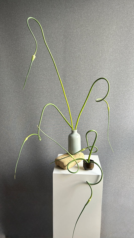 Rewilding Tablescape Workshop