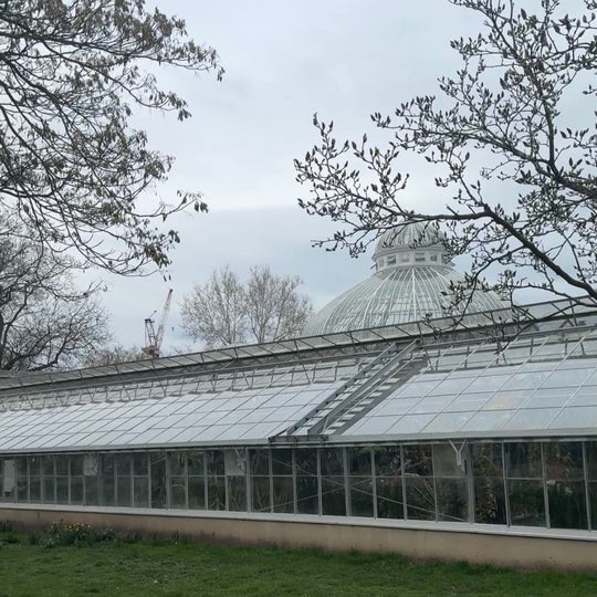 Allan Gardens Mothers Day Flower Arranging Workshop