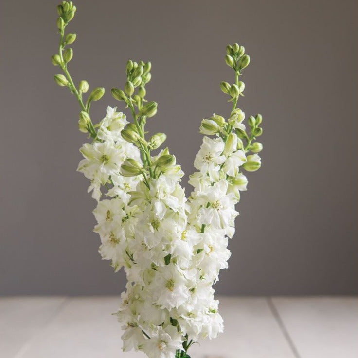 October Flower Subscription