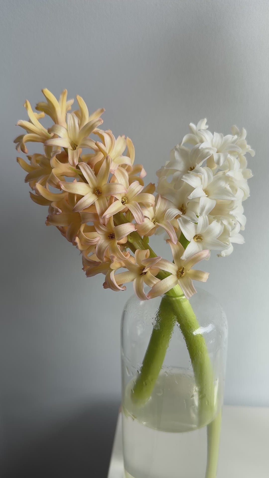 Bud Vase Arrangement