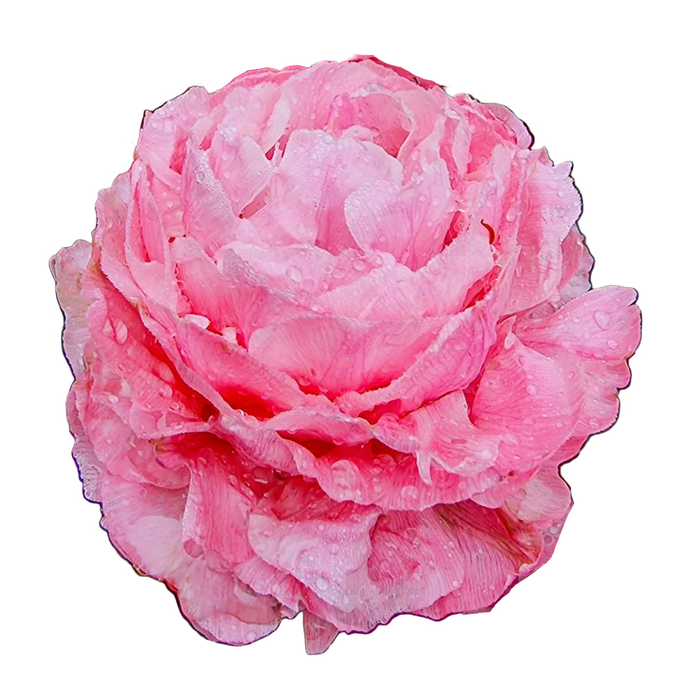 Premium Tulip Bouquet
